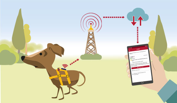 Grafik: Hund mit GPS-Tracker.